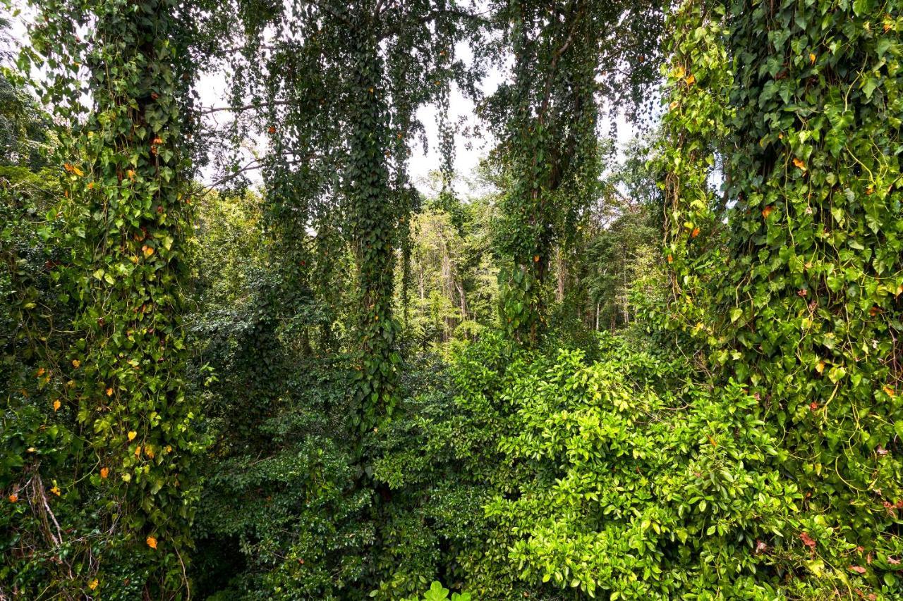 Casa Cayuco Eco-Adventure Lodge Μπόκας ντελ Τόρο Εξωτερικό φωτογραφία